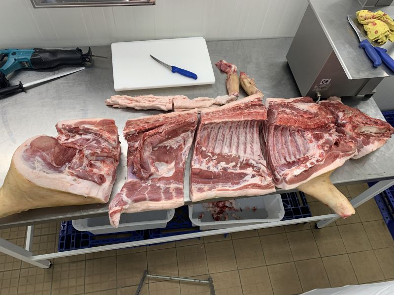 Bőrös félsertés - Paplógó farm