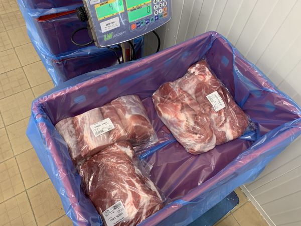 Tarja, lapocka, karaj