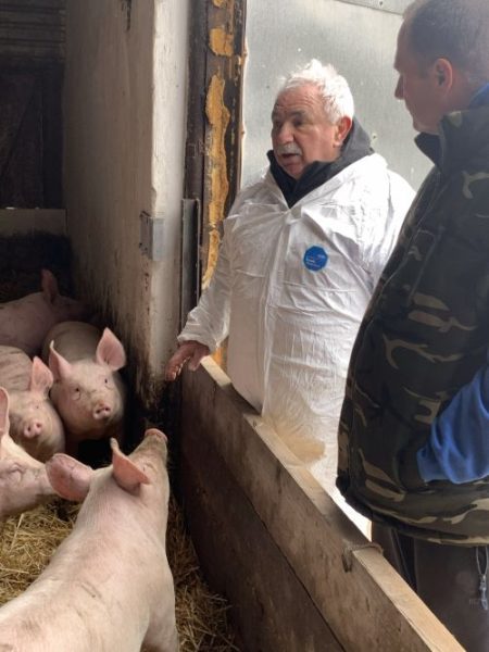 Mester Károly - Paplógó Farm